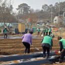 탄현면새마을부녀회 이미지