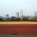 강남-285 이미지