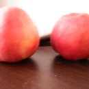 네번째. 두개의 사과를 열명이 나누어 먹으며,시간을 가진 능력자가 황금씨앗을 가질지로다.답:10 이미지