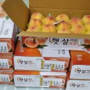 반디농원 이미지