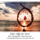 선흘 그곳 이미지