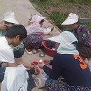 새참김밥 이미지