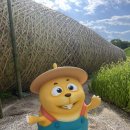 순천