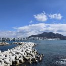 암남공원 이미지