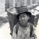 재단법인 마리아수녀회 이미지