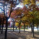 여지공인중개사사무소 이미지