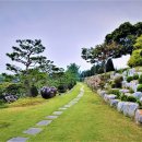 이화동산 이미지
