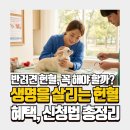 경북대학교 수의과대학 부속동물병원 | 반려견 헌혈 필요한 이유 총정리｜혈액형 종류부터 헌혈 혜택, 신청방법까지
