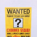 비비핏