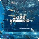 아쿠아리움 | 괴산 가볼만한곳 여행 중 만난 충북아쿠아리움 후기