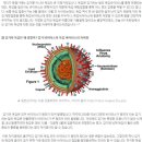 감기 잘걸리는 이유 이미지