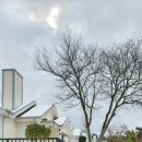 제주스카이라인휴양펜션 이미지