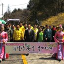 [목포여행]김수미 아줌마와 함께 시작한 목포 유달산 꽃 축제장 이미지