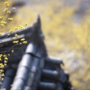 사랑채펜션 이미지