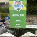 도로시앤컴퍼니 이미지