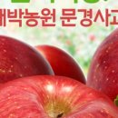 대박사과농원