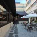 동해일식 | [동해 맛집] 천곡동 묵호정, 매콤한 카라이뮤라멘 &amp; 바삭한 타마고에비믹스동 솔직 후기