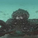 (주)상상초월 이미지