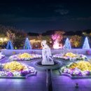 퍼스트가든(시선) 이미지