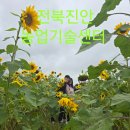 진안군 농업기술센터 | 1200 전북진안 농업기술센터