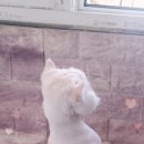 동광로1길 99 이미지