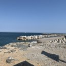 나정1리마을회관 이미지