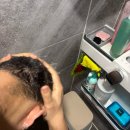 탈모 두피 샴푸 추천템 멘톨 성분으로 시원해지는 바디브 미오 마테 루트 샴푸 베르데세레노향 찐 사용후기
