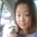 베라데로 이미지