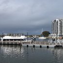 만두여행 이미지