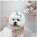 뷰티몽 이미지