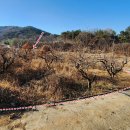 울산EDA승마장 이미지