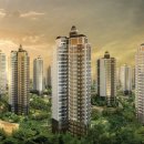 신동아A 이미지