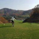 민골프클럽 이미지