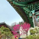 3_29 Daum카페