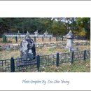 웅상신-2009 | 고즈넉한 산사로의 여행~고흥 능가사~