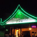 Freja's fella2 diary - (10) treeshade 이미지