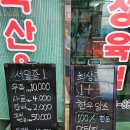 해미정육점