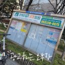 코끼리속내과의원 네이버블로그