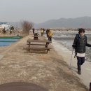 어류정(탑재) Daum카페