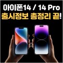 다이소 앞 횡단보도 이미지