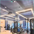 더블유 제이 이미지