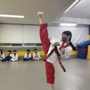 용인대 화산 태권도장 이미지