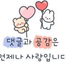 하버드약국 이미지