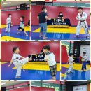 경희대MTA 태권도장 이미지
