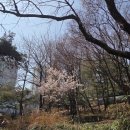 자양화원