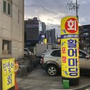 활어마당 이미지