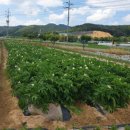 쉼터하우스 이미지