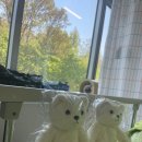 조산 | [제왕 후기] 24주 조산 둥이, 삼성서울병원 제왕절개 후 퇴원까지, 3박 4일의 기록