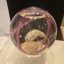 장안공단1길g | 난곡동 보청기, 오티콘도 정부지원 될까? 구매조건 및 청각재활 정리