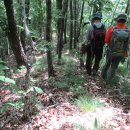 김선배농장 이미지